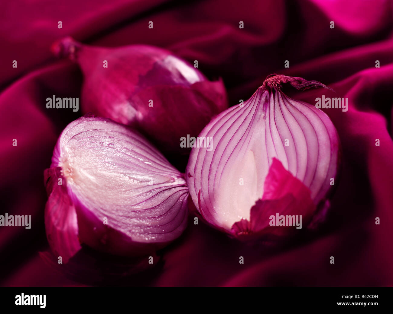 Onion detail hi-res stock photography and images - Alamy
