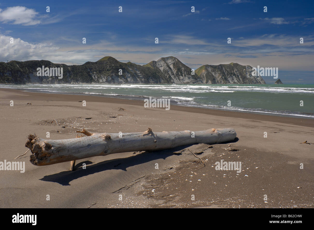 Driftwood, Tolaga Bay, New Zealand John Gollop Stock Photo Alamy