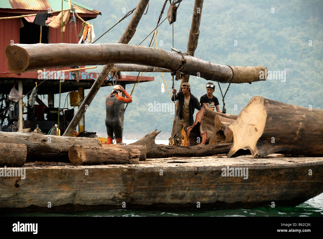 Adventurous divers harvesting wood underwater from the Nam Ngum Dam