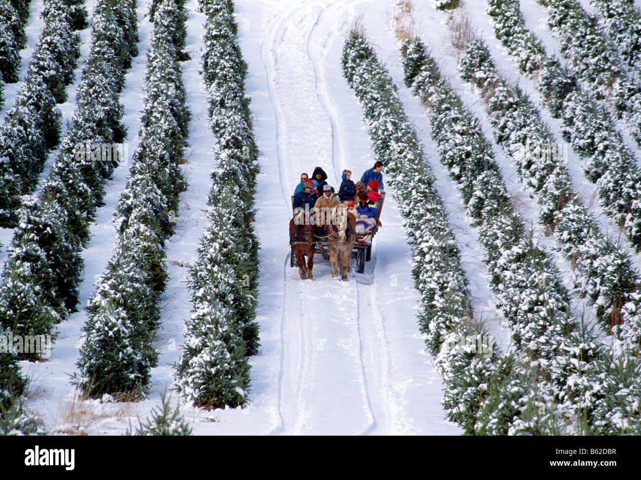 The christmas wagon hires stock photography and images Alamy