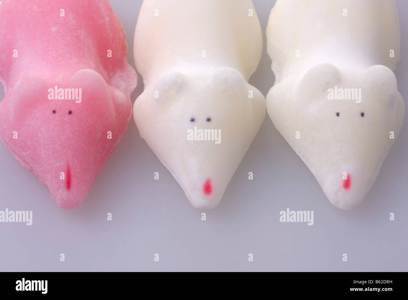 Candy sugar mice on white background Stock Photo Alamy