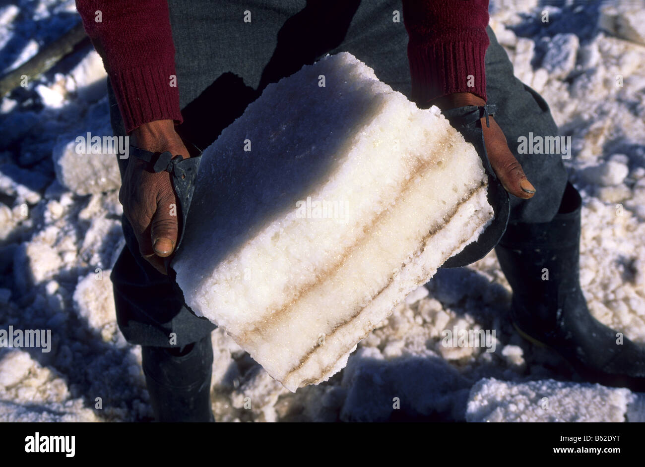 Works of extracion of  salt blocks realized by Inocencio Flores . Salar de Uyuni . Bolivia. Stock Photo