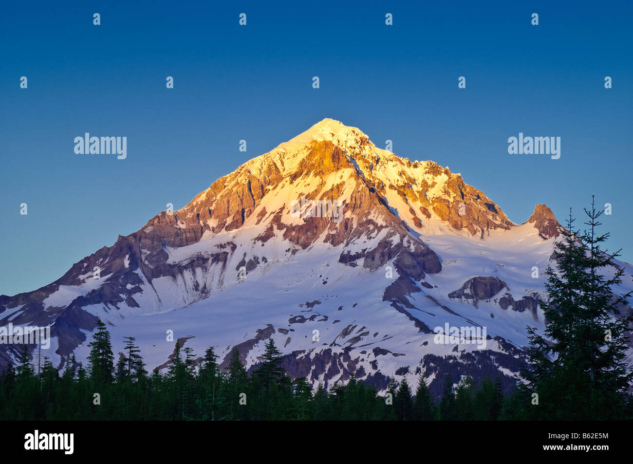 Lolo pass mt hood national forest hires stock photography and images