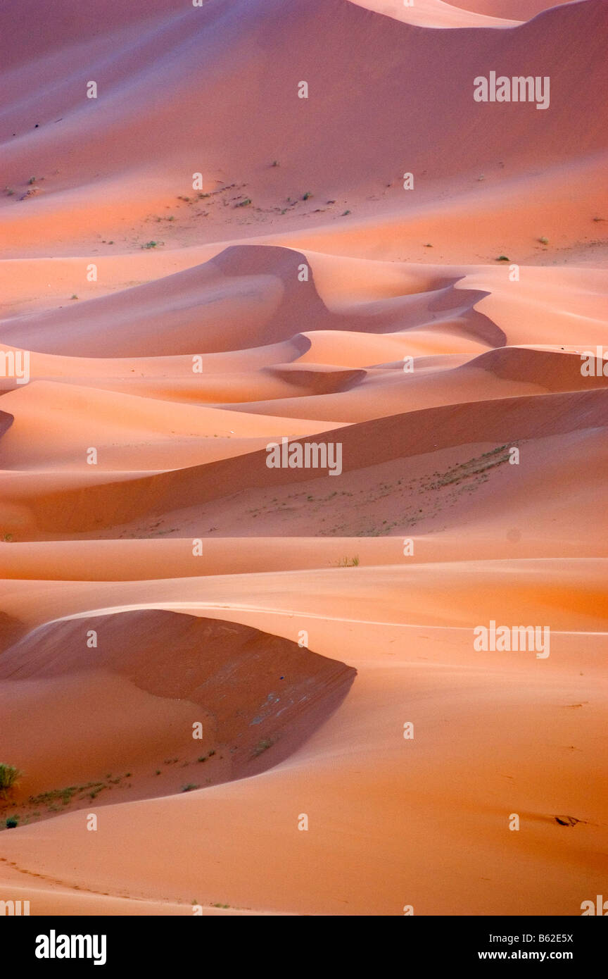 Le désert du Sud Marocain les dunes de Merzouga Morocco North Africa ...