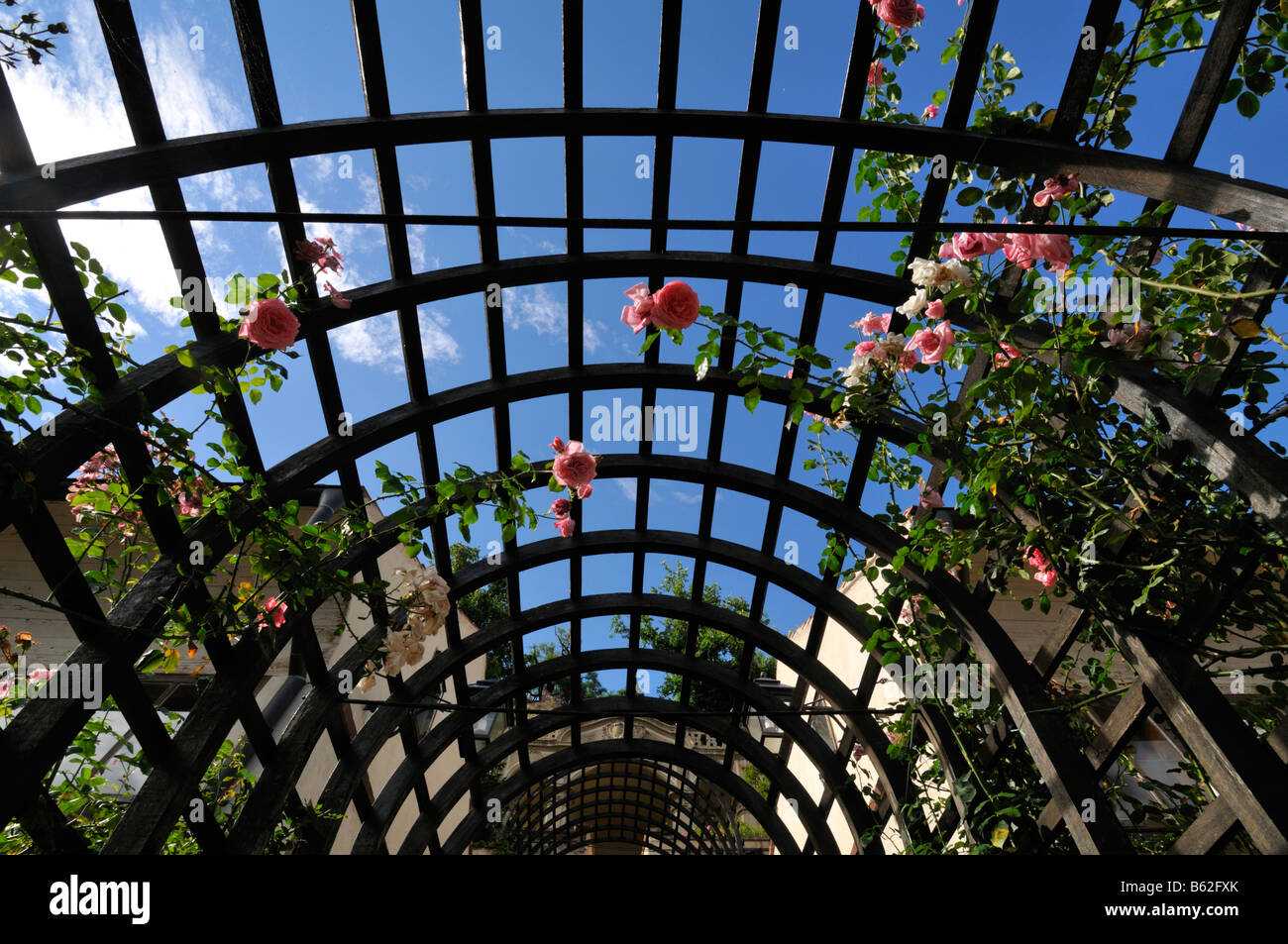 Rose trellis hi-res stock photography and images - Alamy