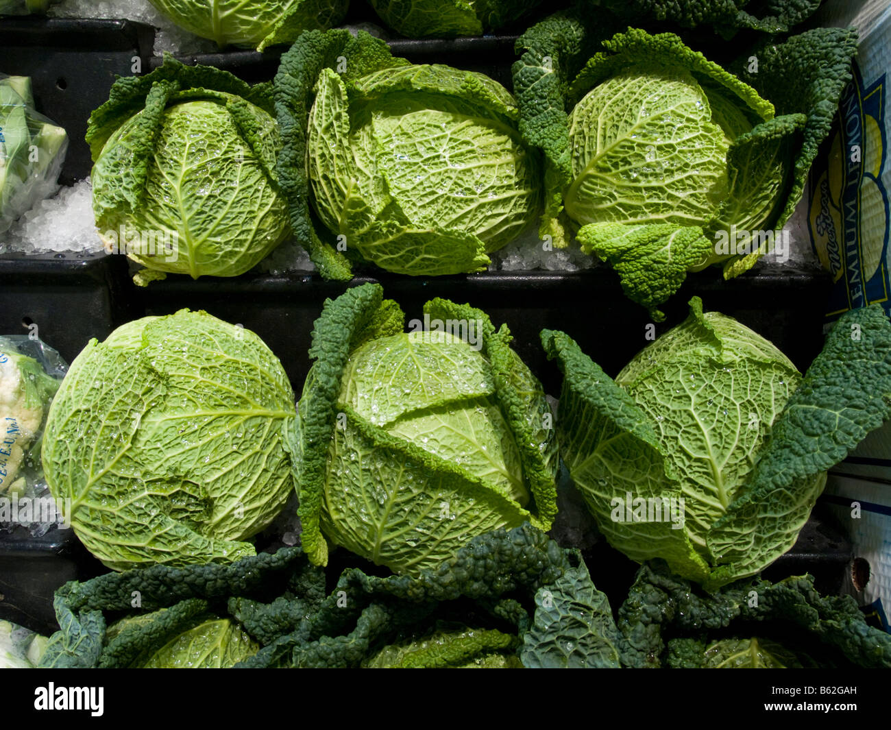 Savoy Cabbage display at a grocery store Stock Photo Alamy