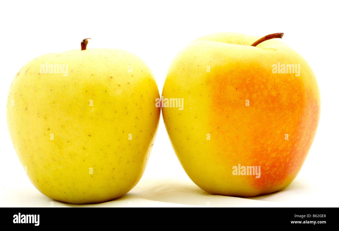 Two Ripe Golden Delicious Apples Stock Photo