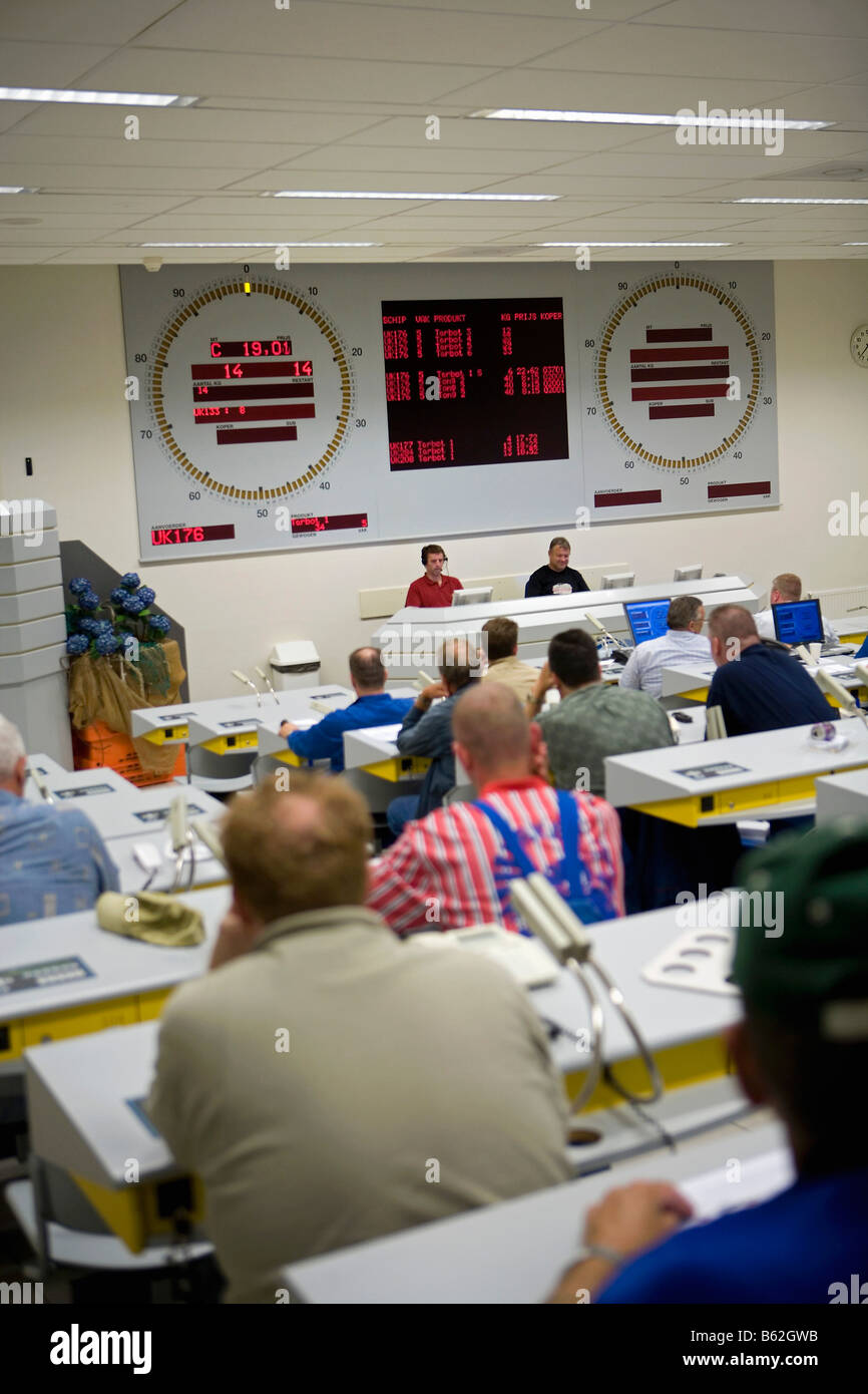 Holland Flevo Urk Fish auction Stock Photo