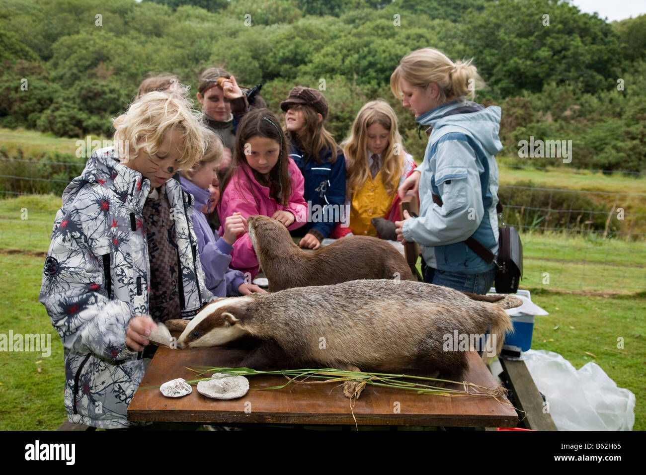 otter and badger at water vole day relubbus cornwall Stock Photo
