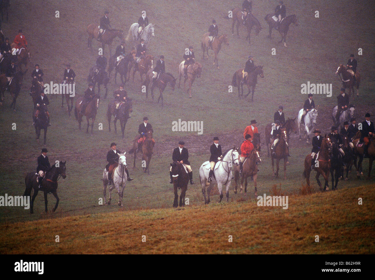 Horse farm animals hires stock photography and images Alamy