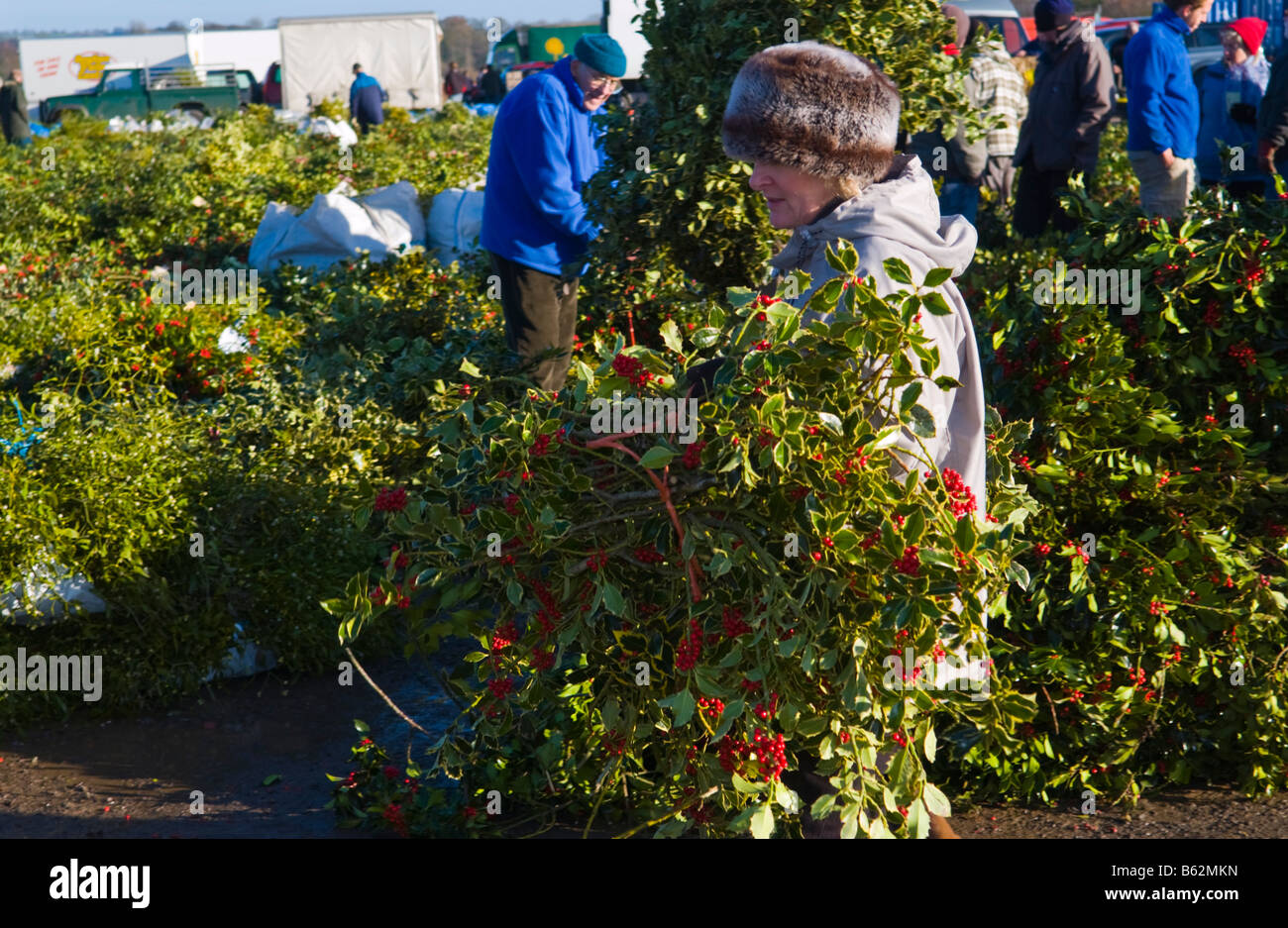 Annual Wholesale Auction Of Cut Holly And Mistletoe For Christmas