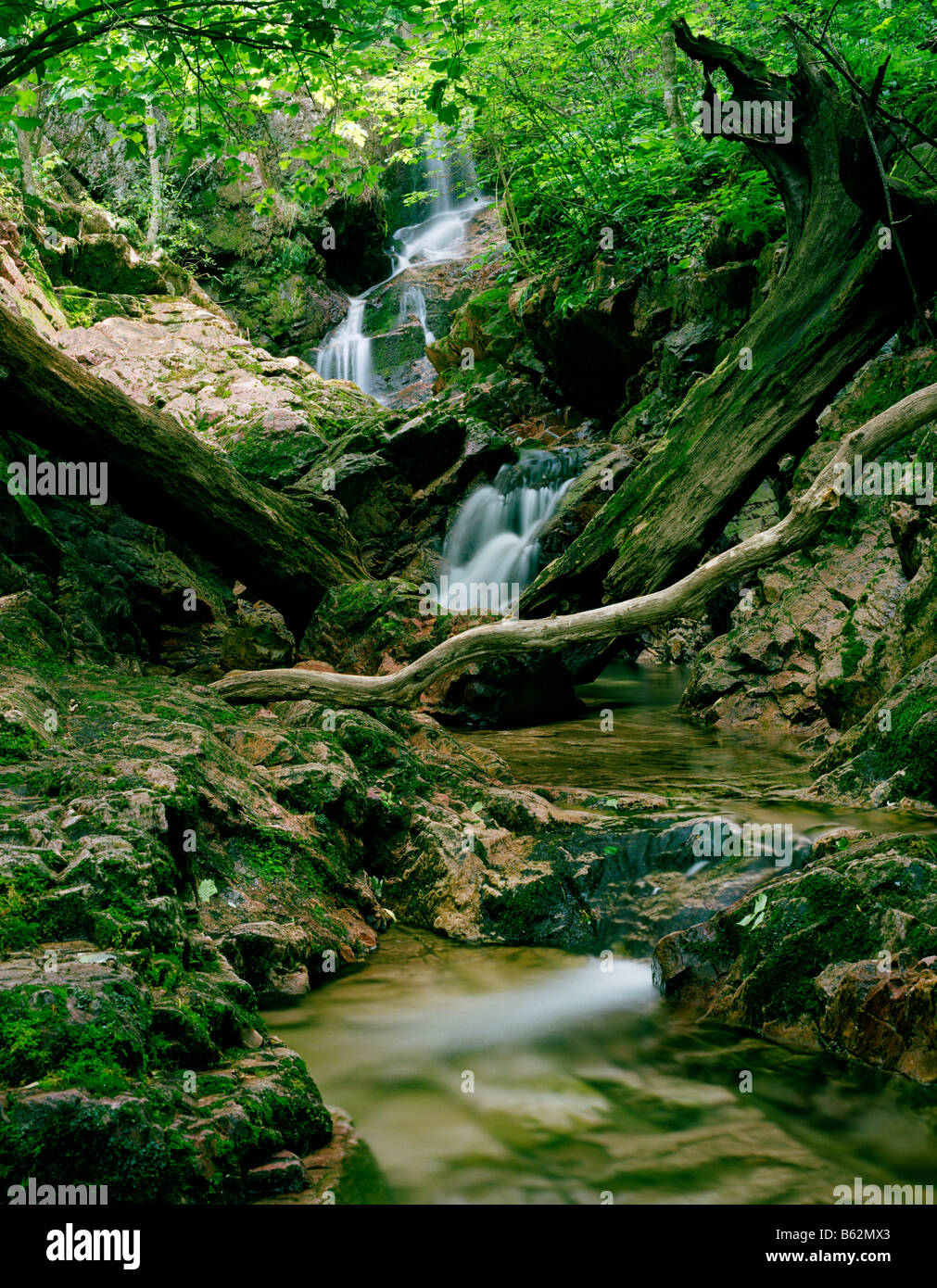 Honey Creek Honey Creek Township Sauk County Wisconsin 26 June 2008