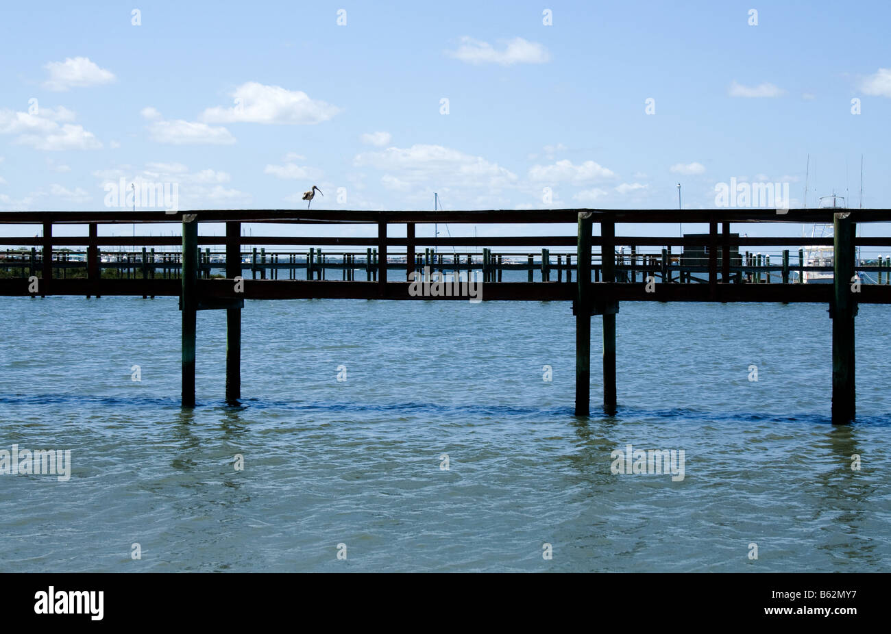 Lone one legged bird on a dock over the water in Florida Stock Photo