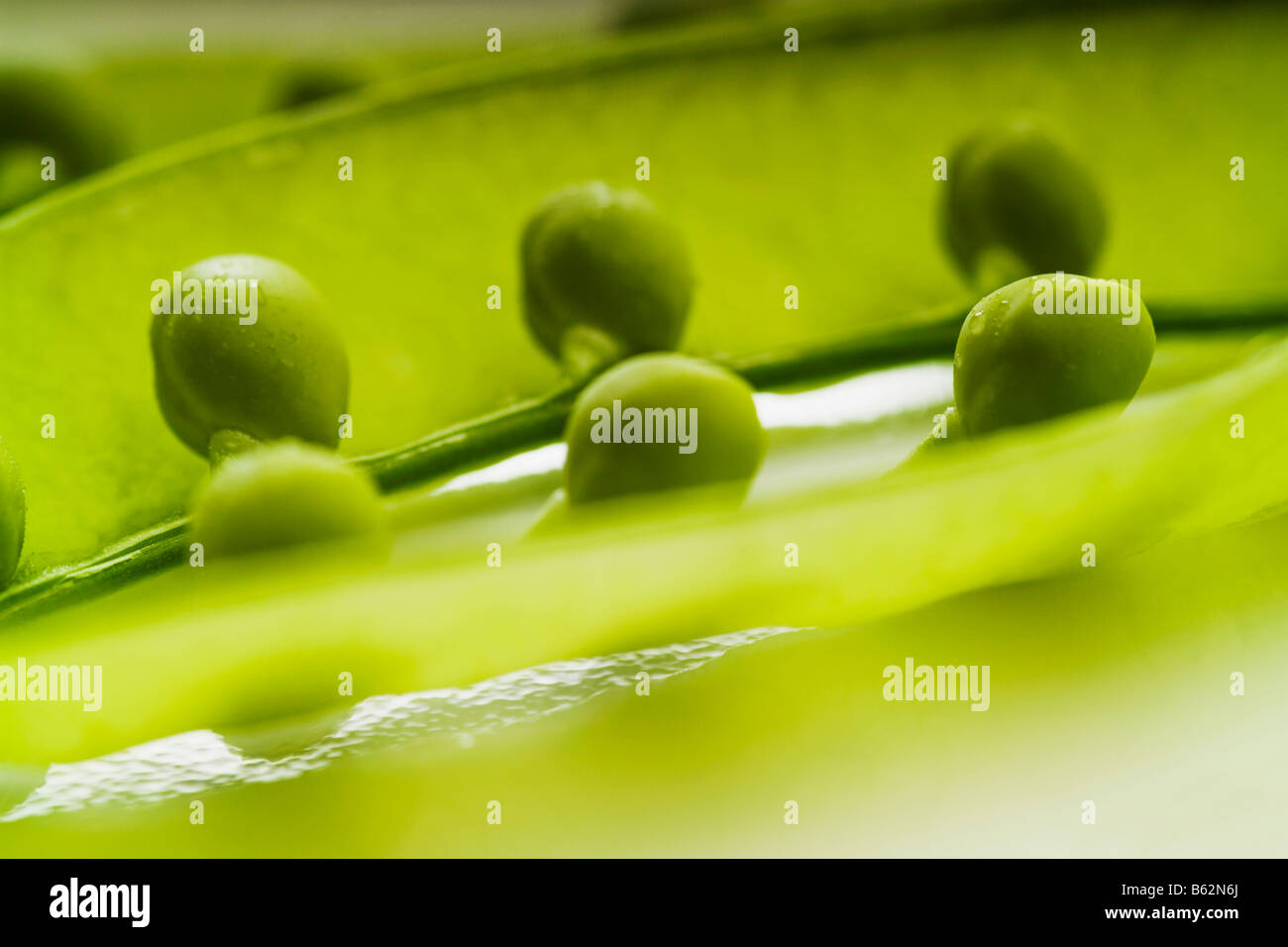 Close-up of pea pods Stock Photo
