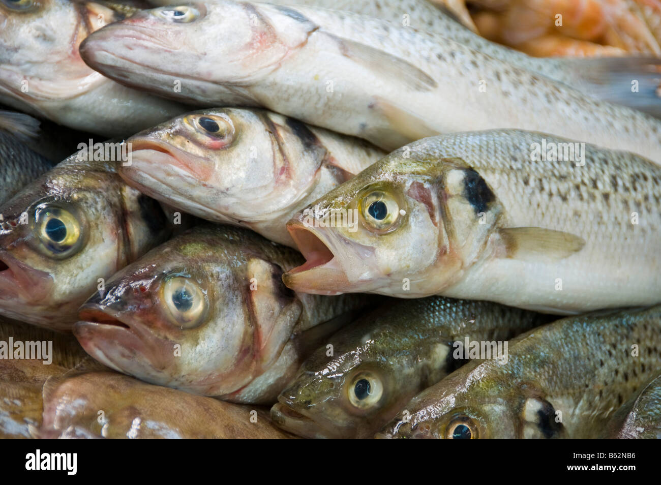 Fish stall in the covered market of Niort Deux Sèvres France Stock Photo