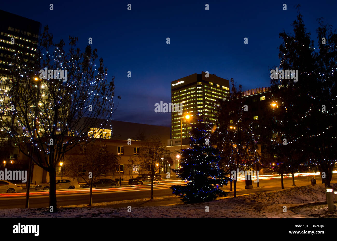Beautiful night exposure of tree Christmas lights and color of twilight
