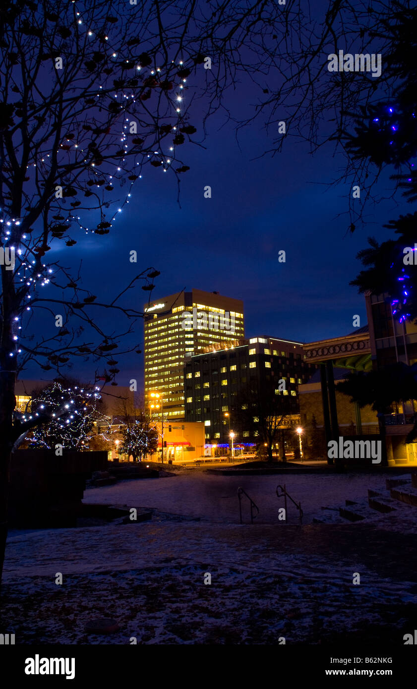 Beautiful night exposure of tree Christmas lights and color of twilight