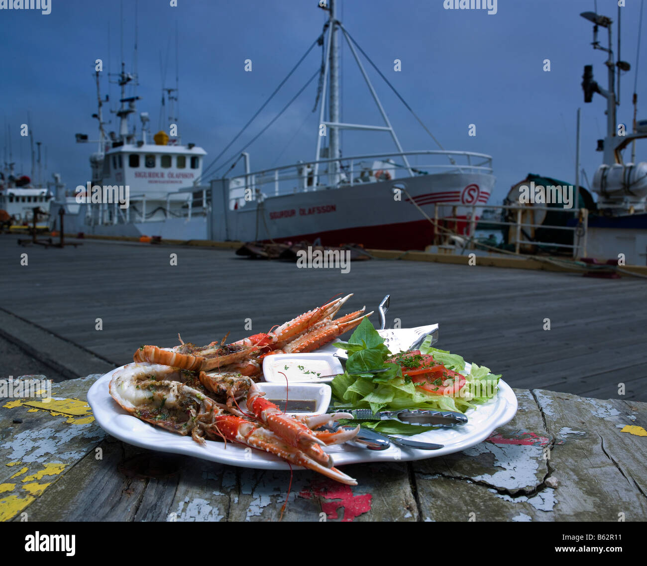 Freshly caught lobster on plate by harbor, Hornafjordur fjord Eastern Iceland Stock Photo