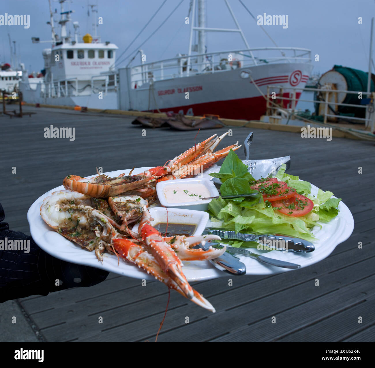Freshly caught lobster on plate by harbor, Hornafjordur fjord Eastern Iceland Stock Photo