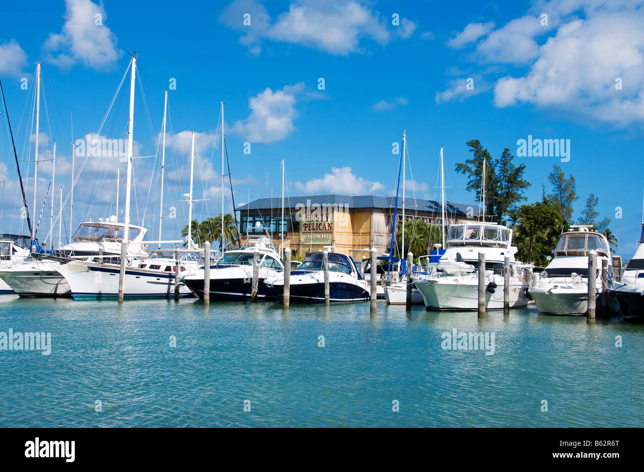 The Rusty Pelican in Miami Stock Photo - Alamy