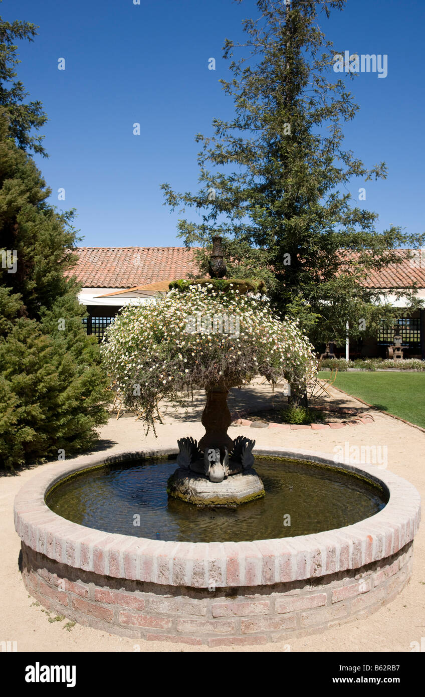 Fountain at the Viu Manent Vineyard, Colchagua Valley, Chile Stock Photo