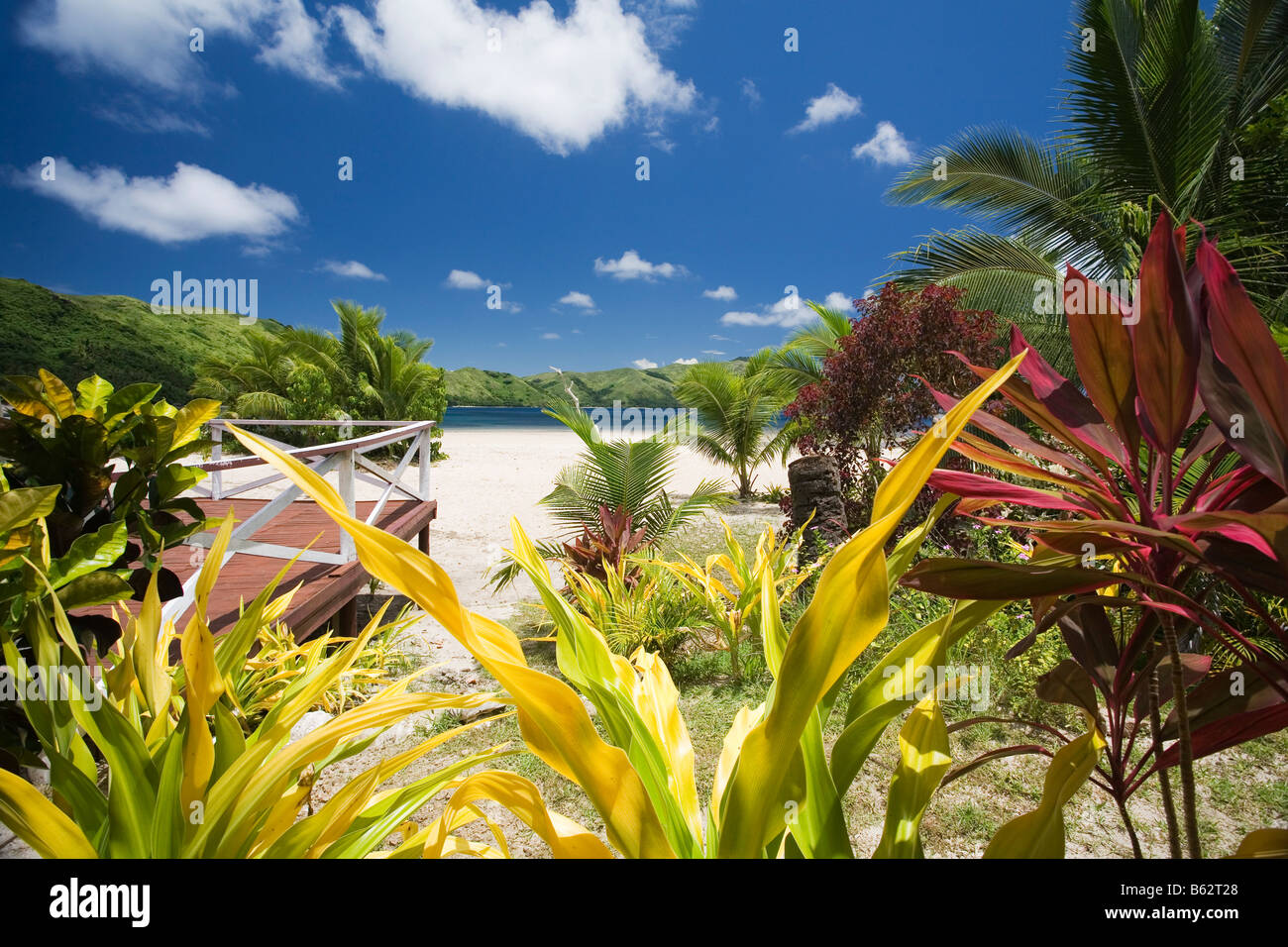 Fiji plants hi-res stock photography and images - Alamy