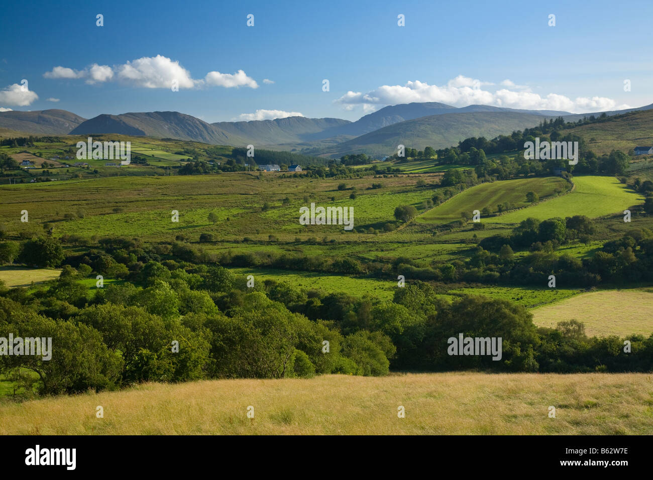 Green fields in the Finn Valley, beneath the Bluestack Mountains. County Donegal, Ireland. Stock Photo