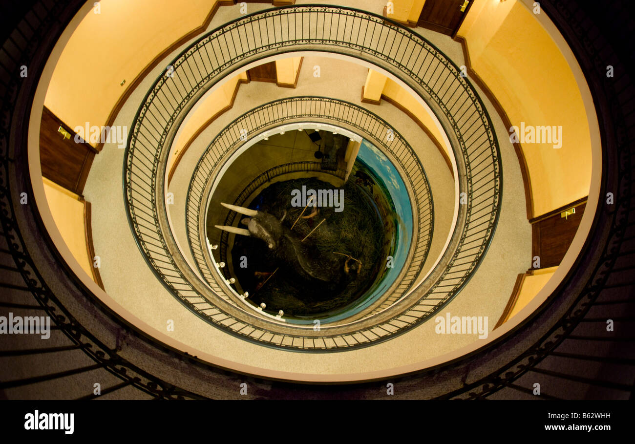 Tour lens fisheye hi-res stock photography and images - Alamy