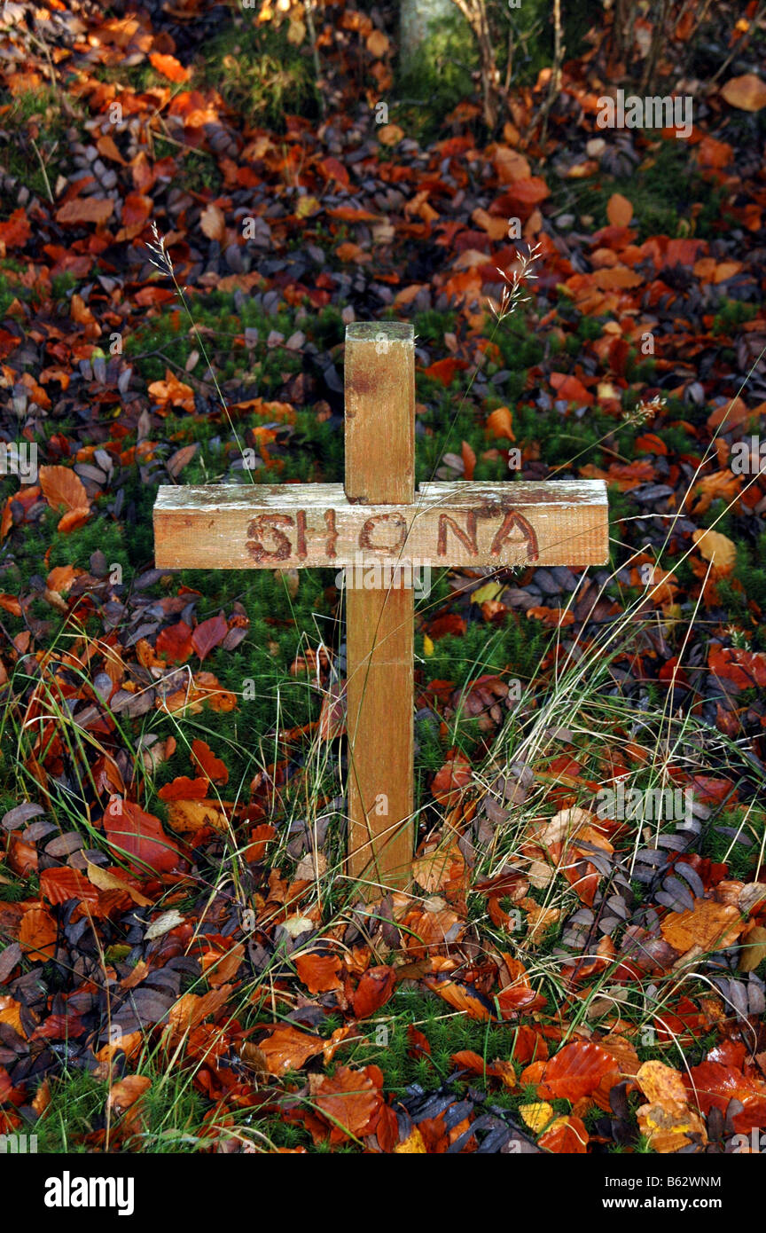 A dog's grave marked by a cross in a wooded area. Stock Photo