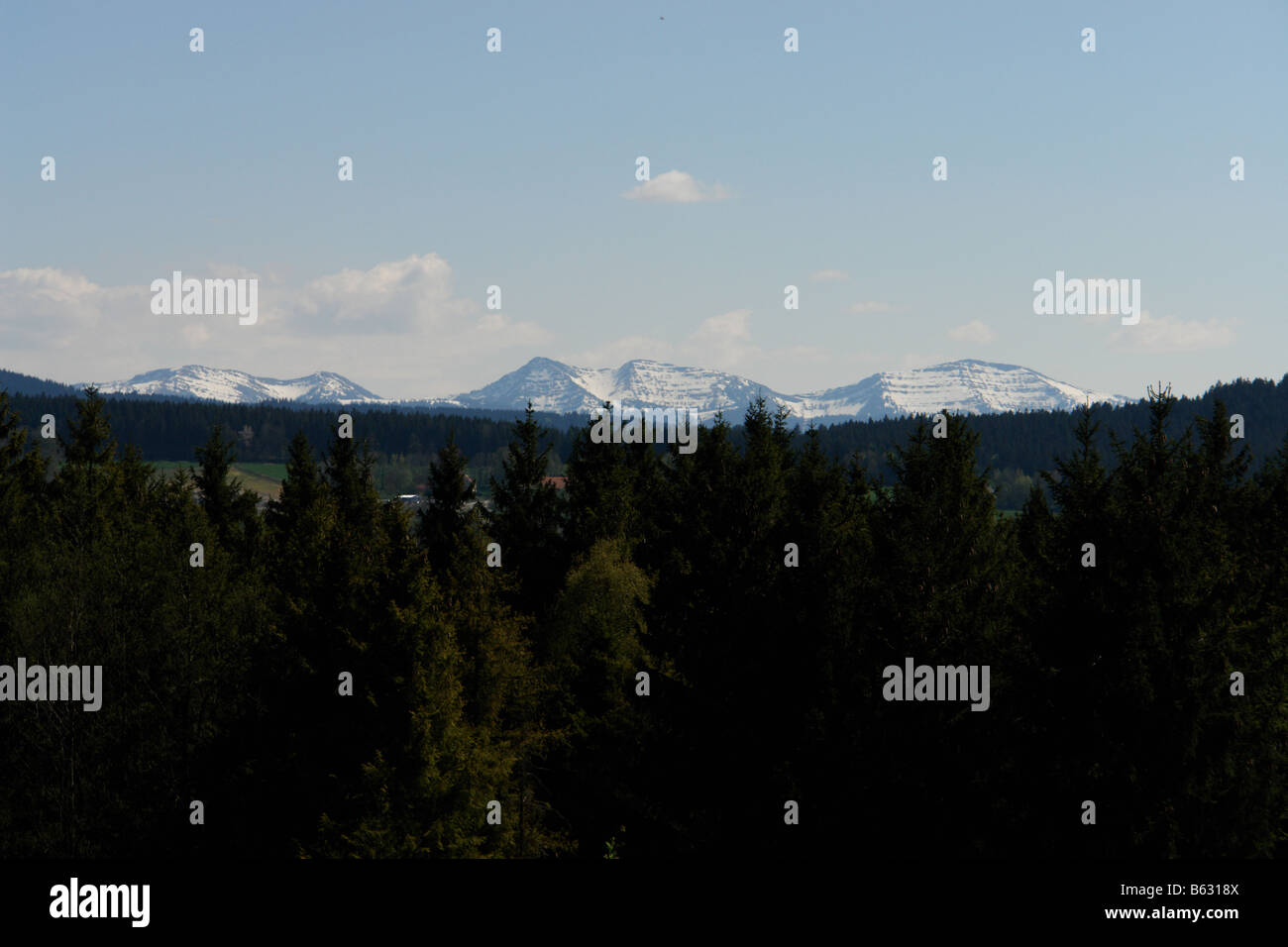 landscape with alp mountains in background Stock Photo - Alamy