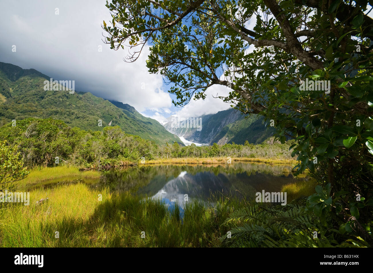 The Franz Josef Glacier from Peters Pool, South Island, New Zealand Stock Photo