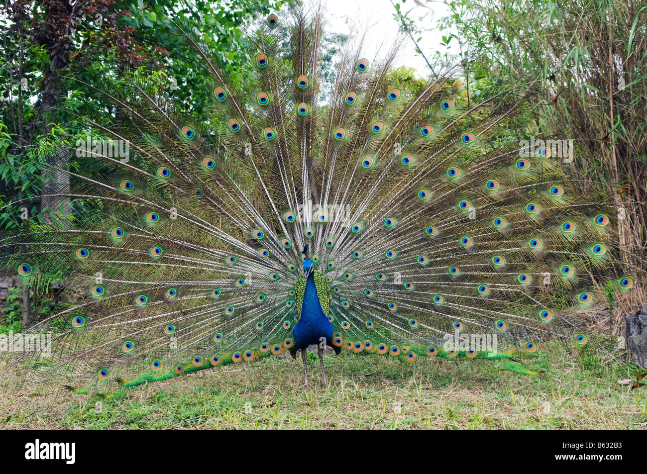 China Guizhou Province at Huangguoshu Waterfall Stock Photo Alamy