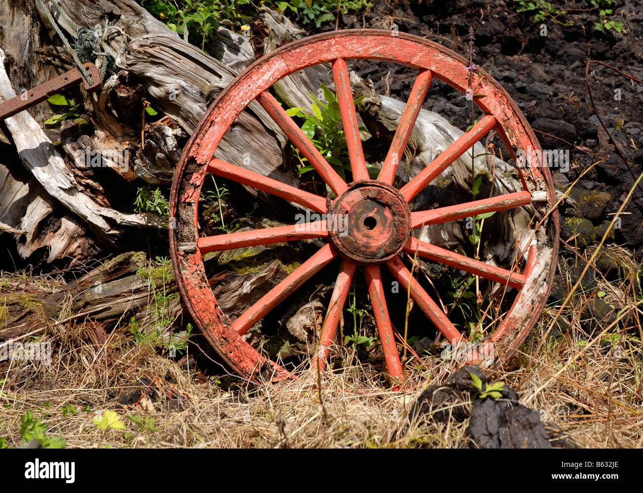 Old cart wheel, painted red but in poor condition, leaning against logs Stock Photo