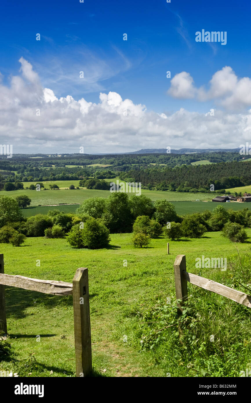 Surrey Hills UK - English Countryside - North Downs Way looking toward the South Downs, Newlands Corner, Surrey Stock Photo