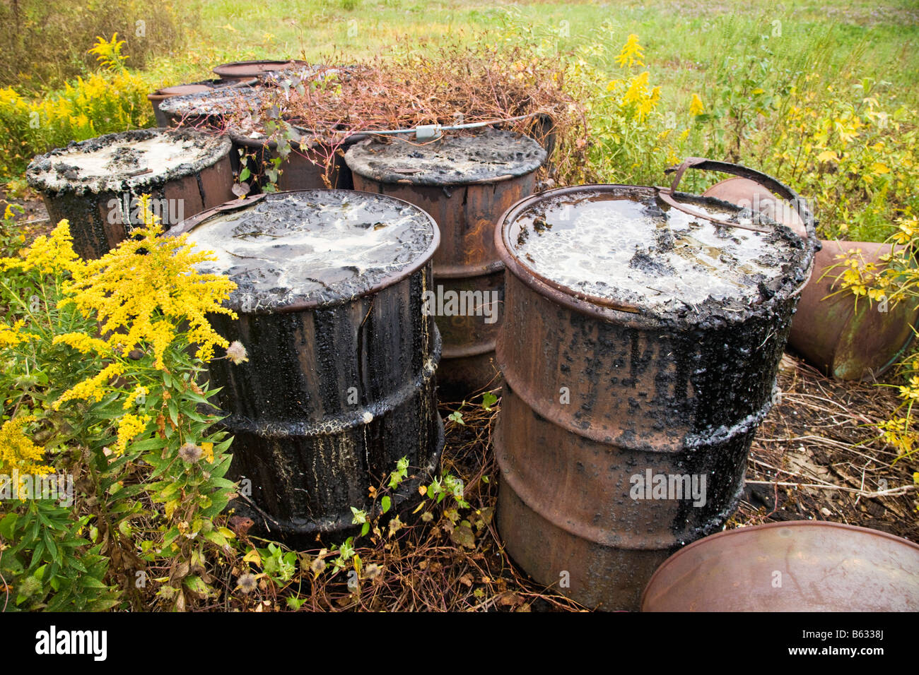 Abandoned corroding rusting oxidizing 55 gallon metal drums. Stock Photo