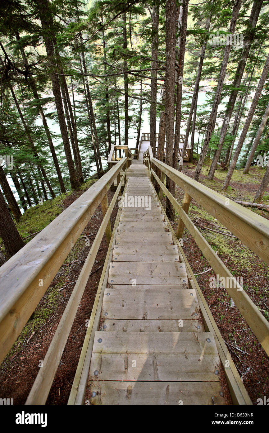 Wooden Stairs And Viewpoint At Kitsumkalum Provincial Park Stock Photo ...