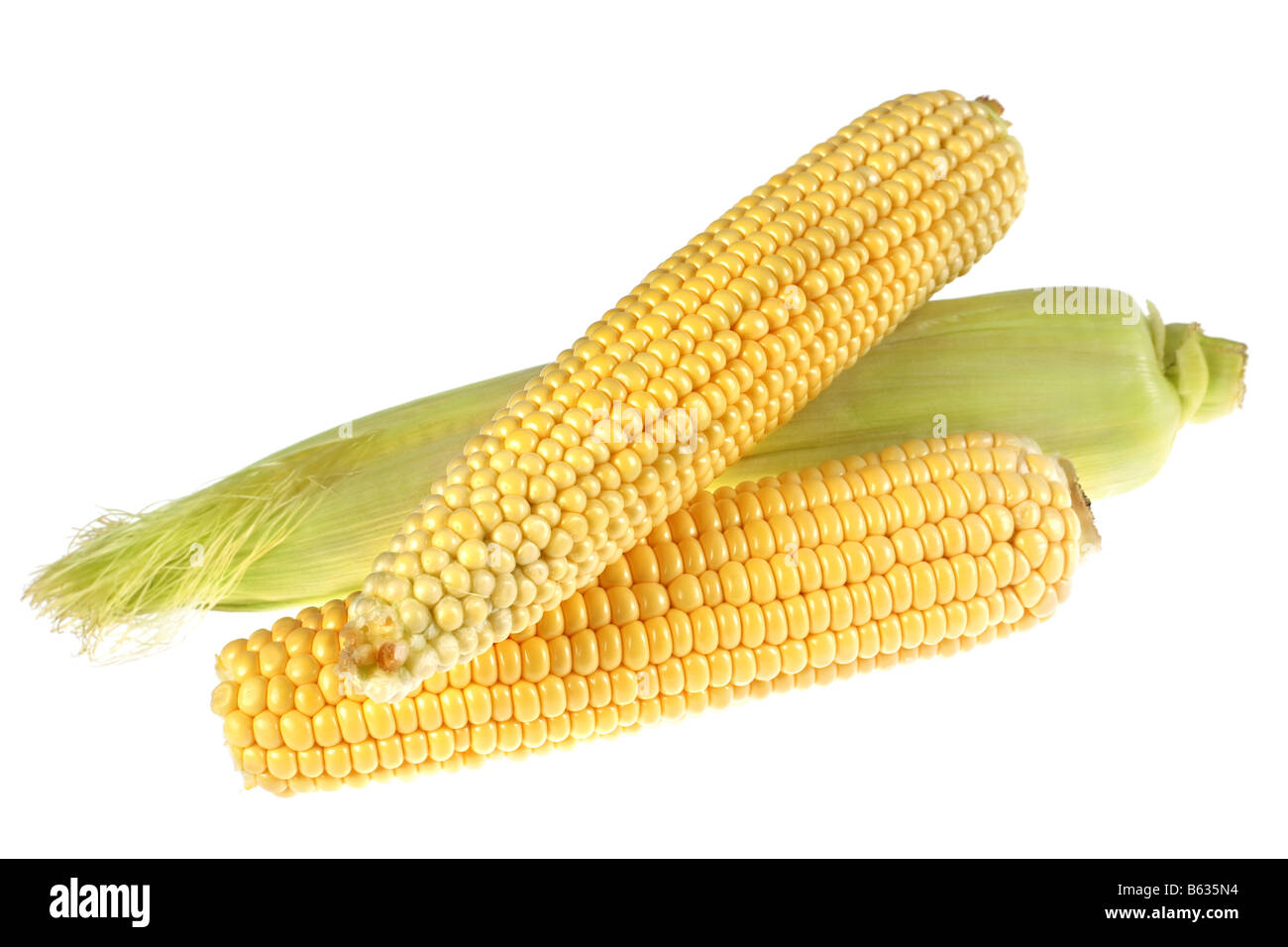 Corn vegetable ear raw on whithe background Stock Photo