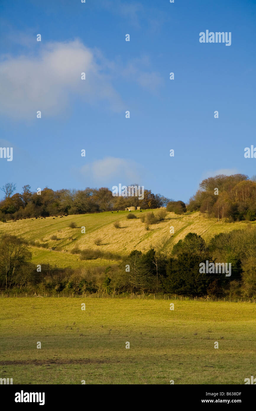 Box Hill, Dorking, Surrey England from below the viewpoint Stock Photo