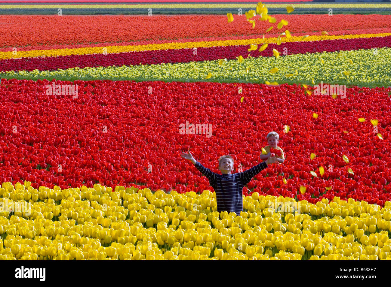 Netherlands Zuid Holland Lisse Boys holding tulip flower in field Stock Photo