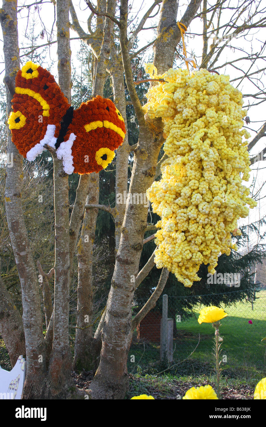 Orange Butterfly made of flowers, St Vincent festival, Villy near Chablis, Burgundy, France. Vertical. 50557 Chablis2005 Stock Photo