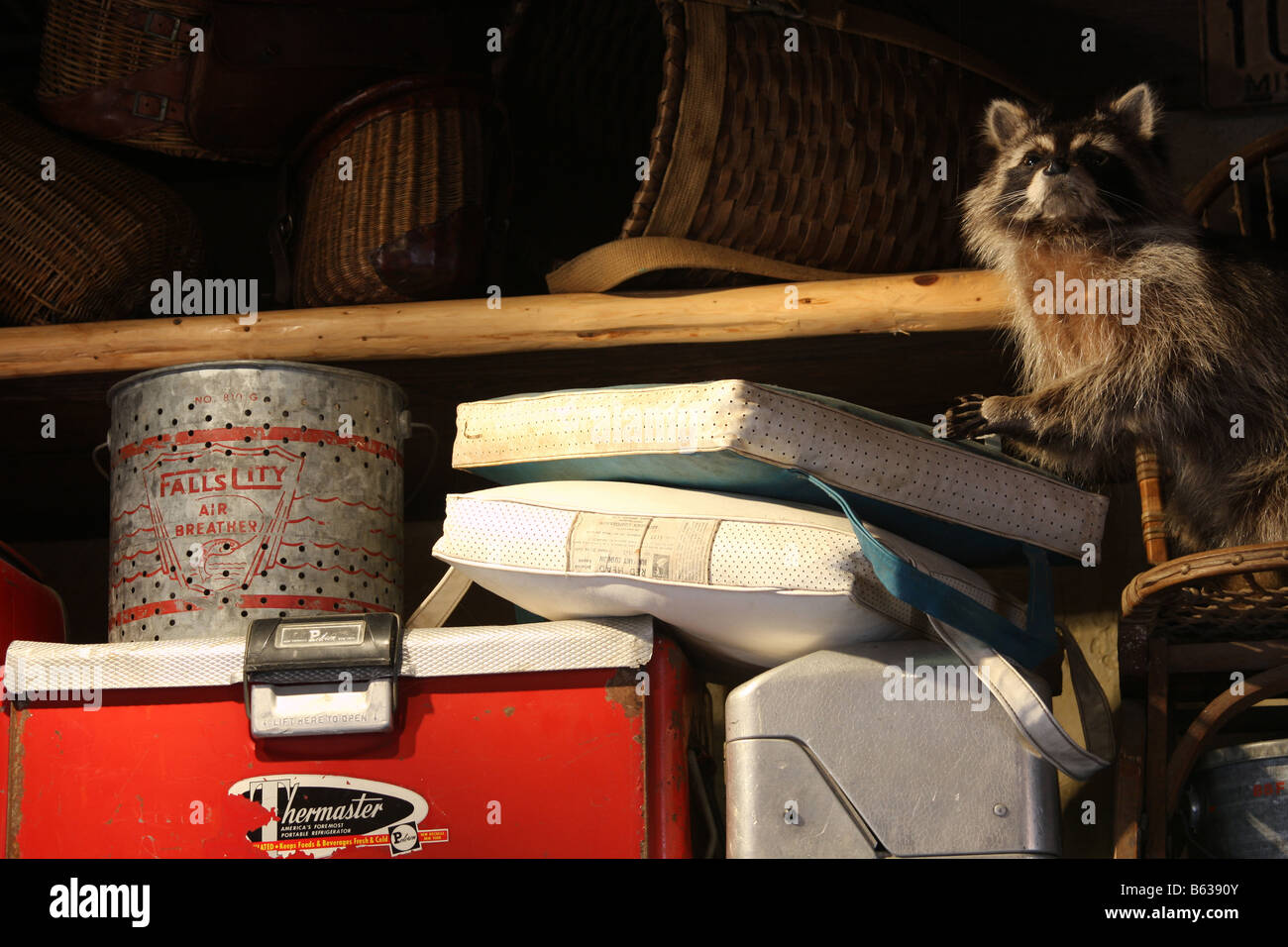 Outdoor recreational antiques on display in a store in Branson Missouri