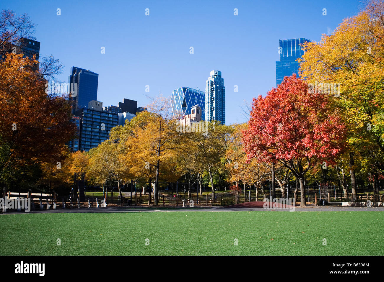 Trees in a park with buildings in the background, Central Park