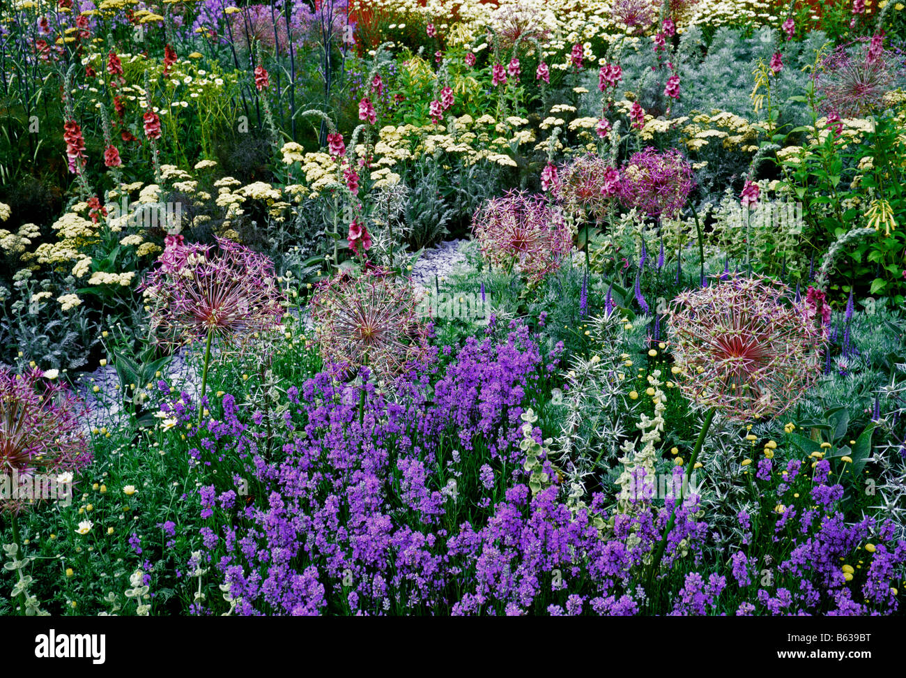 'Go Organic' Garden with colourful flower border Stock Photo