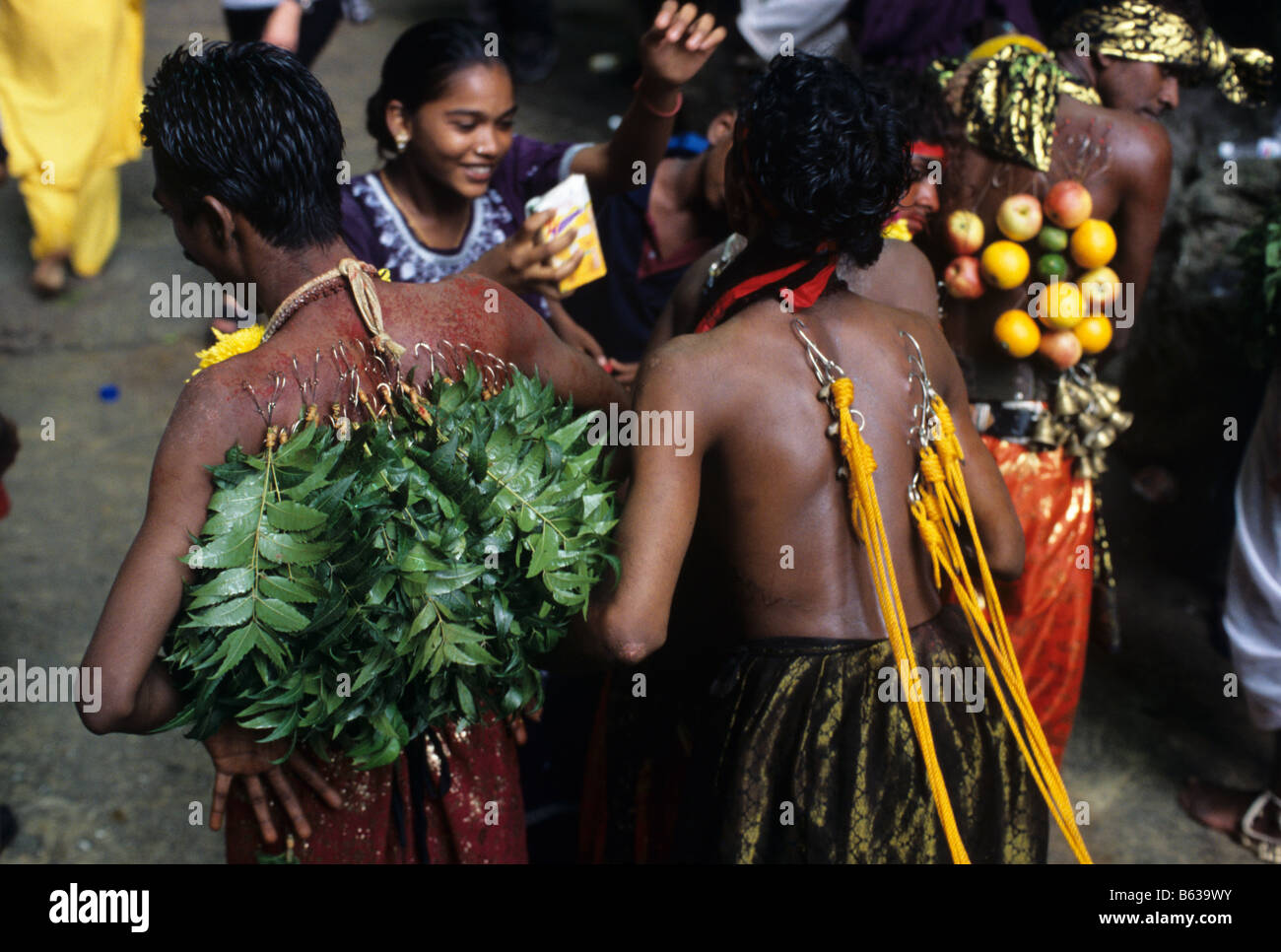 Hindu Penitents with pierced backs during the annual Thaipusam Festival at Batu Caves, Kuala Lumpur, Malaysia Stock Photo