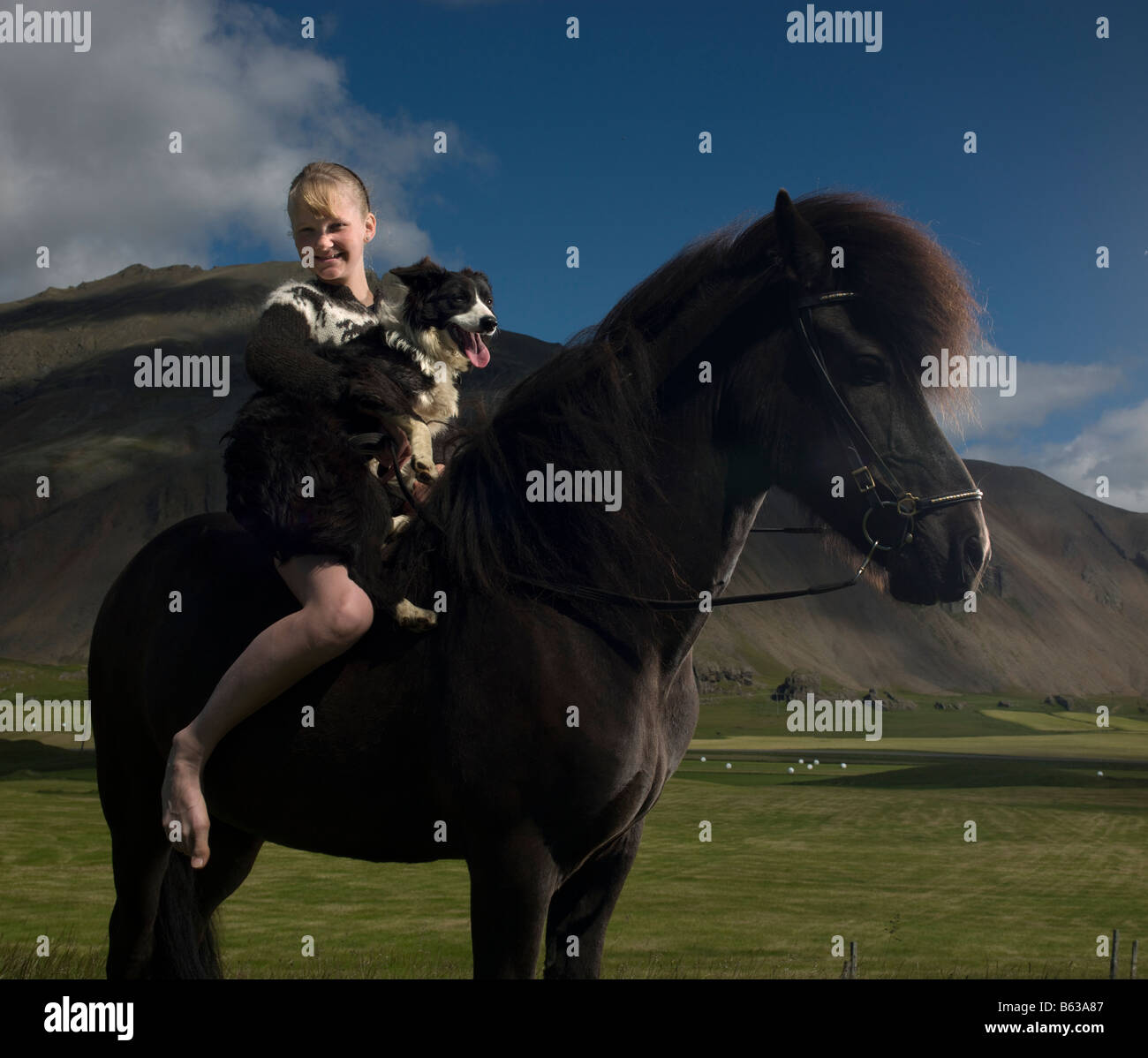 Young girl bareback on her horse with Icelandic sheep dog, Hofn