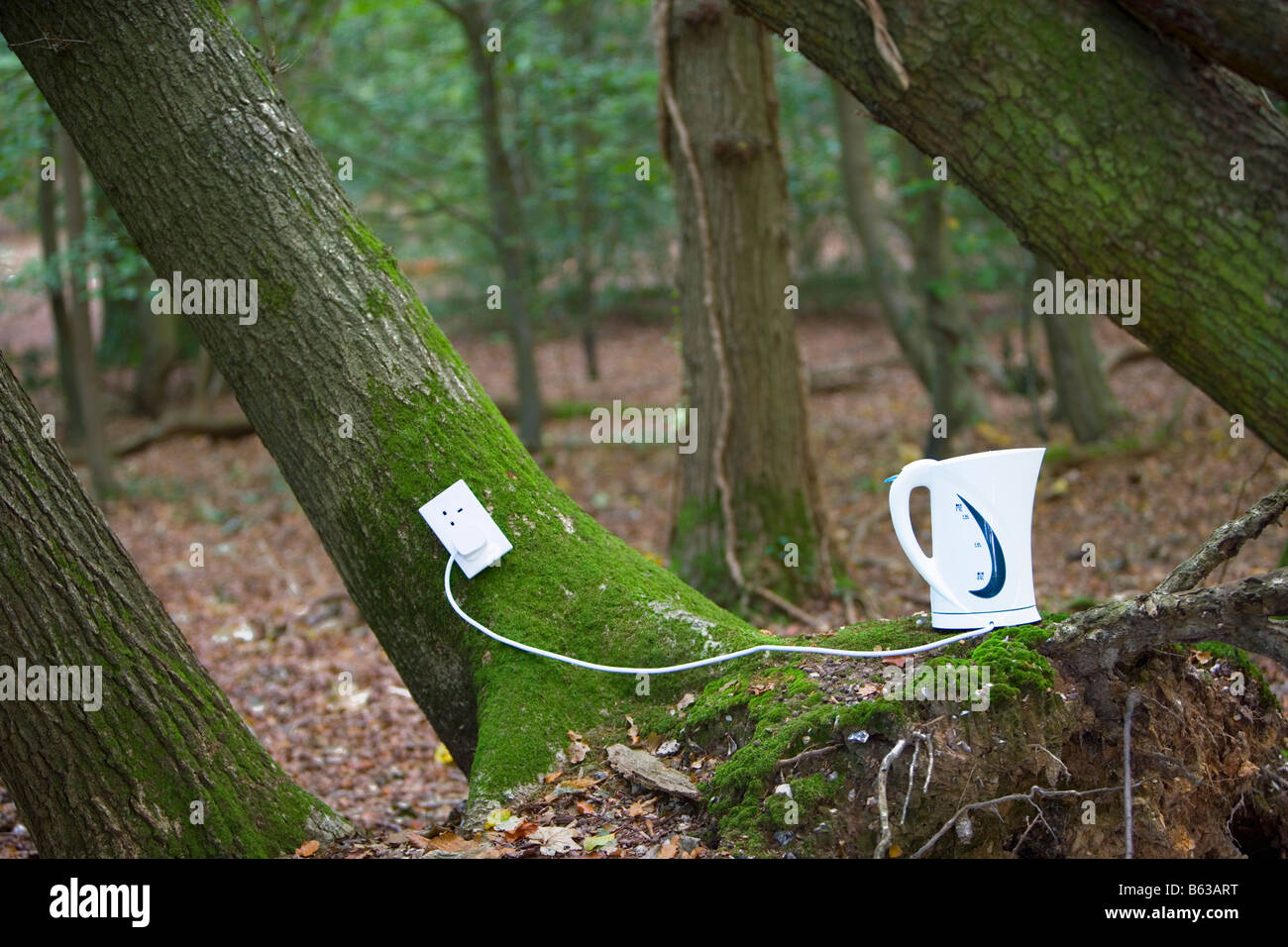 Electrical outlet and kettle on tree in forest Stock Photo