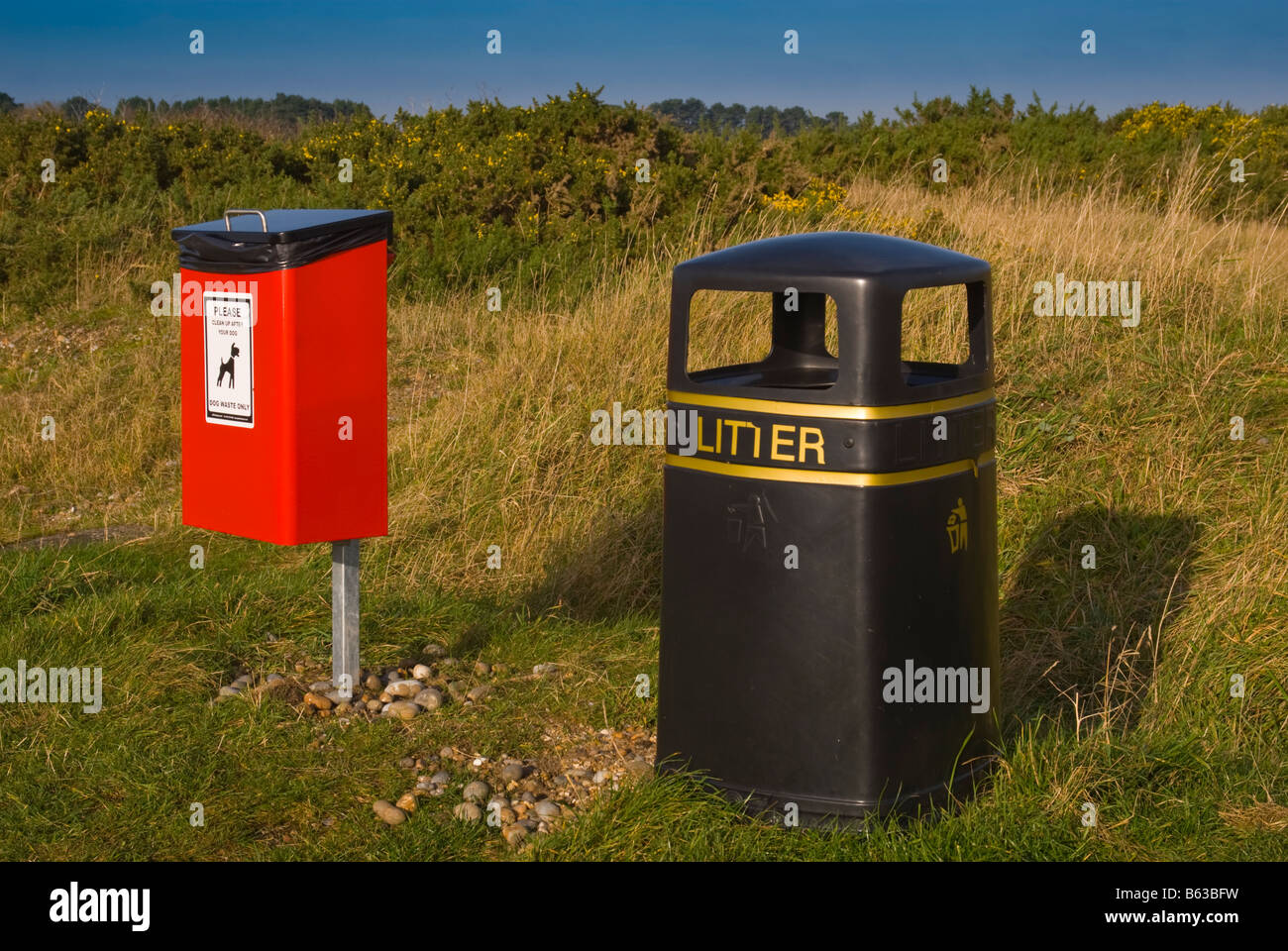 Which Bin Does Dog Poop Go In