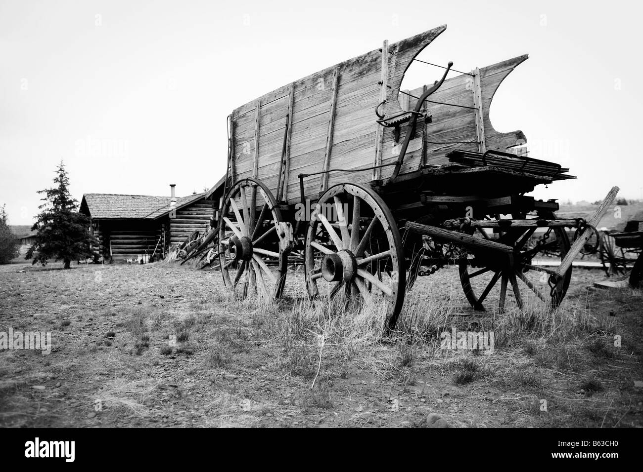 Abandoned horse carts in a grassy field, Old Trail Town, Cody, Wyoming, USA Stock Photo