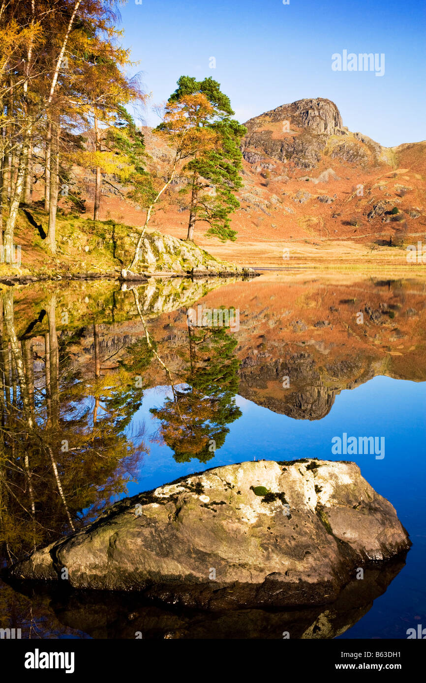 Early morning sunshine and reflections in Blea Tarn on a sunny autumn day, Lake District National Park, Cumbria, England, UK Stock Photo