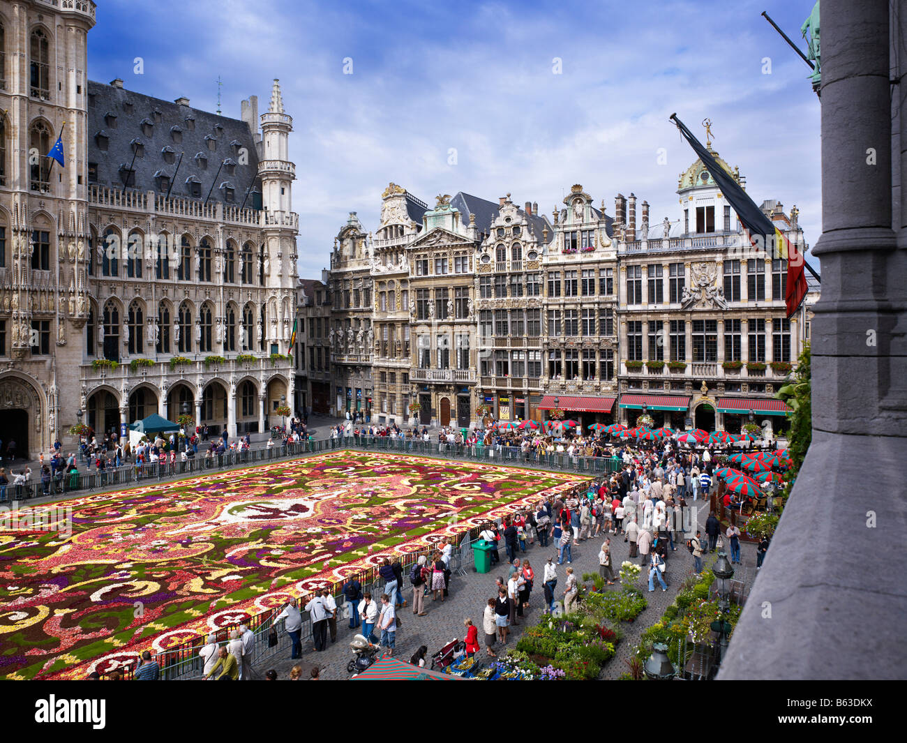 flower carpet on Grand Place Brussels, Brabant, Belgium, EUROPE Stock Photo Alamy